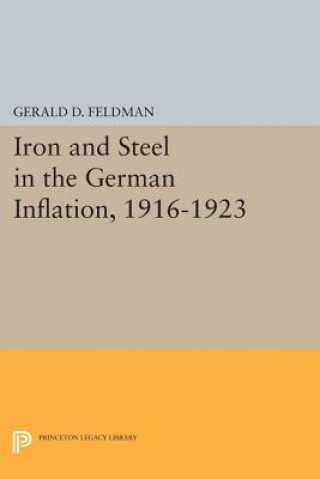 Livre Iron and Steel in the German Inflation, 1916-1923 Gerald D. Feldman