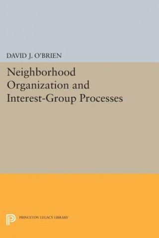 Kniha Neighborhood Organization and Interest-Group Processes David J. O'Brien