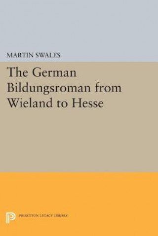 Kniha German Bildungsroman from Wieland to Hesse Martin Swales