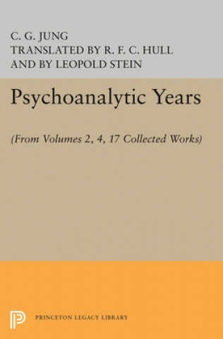 Boek Psychoanalytic Years C G Jung