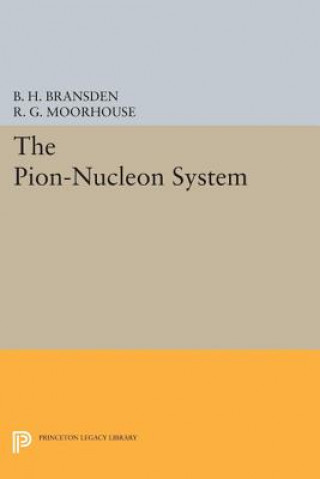 Książka Pion-Nucleon System R.G. Moorhouse