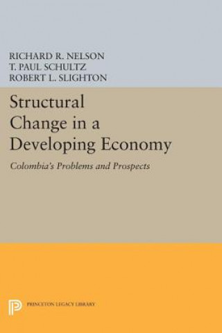 Książka Structural Change in a Developing Economy Robert L. Slighton
