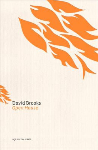 Kniha Open House David Brooks