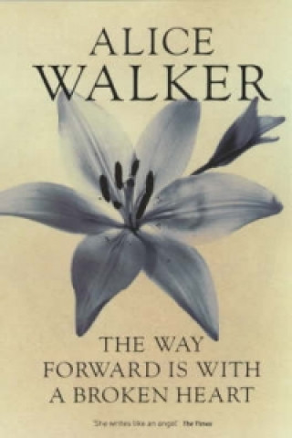 Книга Way Forward is with a Broken Heart Alice Walker