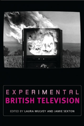 Kniha Experimental British Television Laura Mulvey