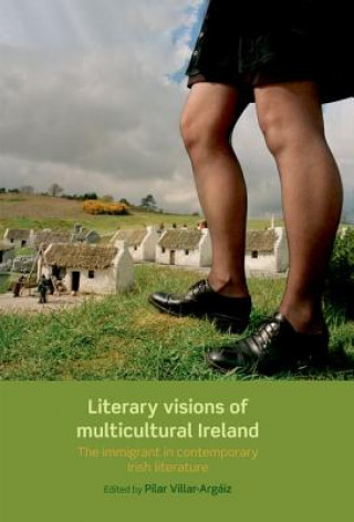 Livre Literary Visions of Multicultural Ireland Pilar Villar-Argáiz