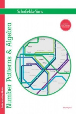 Kniha Understanding Maths: Number Patterns & Algebra Steve Mills