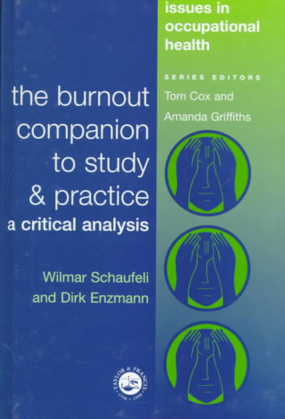 Kniha Burnout Companion To Study And Practice Dirk Enzmann