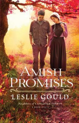 Könyv Amish Promises Leslie Gould
