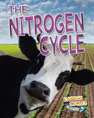 Könyv Nitrogen Cycle Diane Dakers