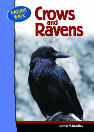 Knjiga Ravens and Crows James Bradley