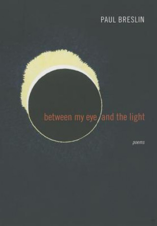 Kniha Between My Eye and the Light Paul Breslin