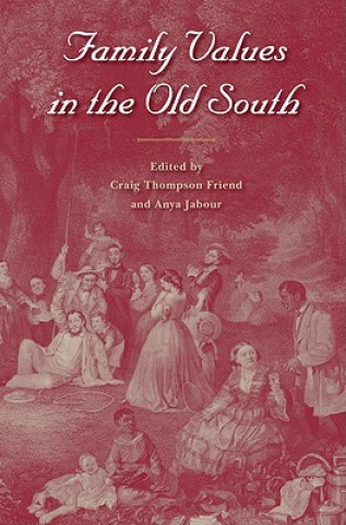 Kniha Family Values in the Old South Craig Thompson Friend