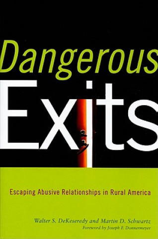 Könyv Dangerous Exits Martin D. Schwartz