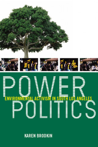 Книга Power Politics Karen Brodkin