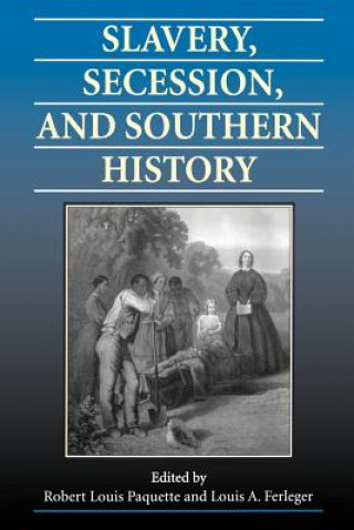 Libro Slavery, Secession and Southern History Louis A. Ferleger