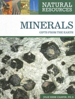 Knjiga Minerals Julie Kerr Casper