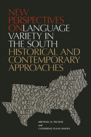Carte New Perspectives on Language Variety in the South Catherine Evans Davies