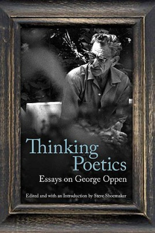 Book Thinking Poetics Steve Shoemaker