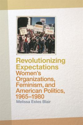 Knjiga Revolutionizing Expectations Melissa Estes Blair