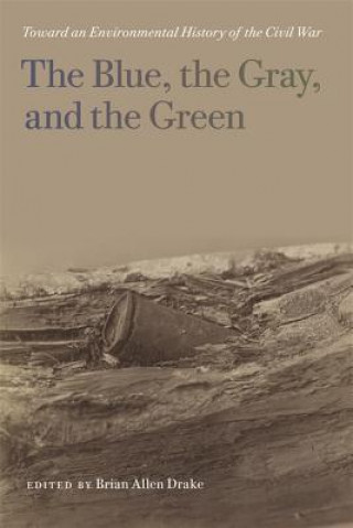 Könyv Blue, the Gray, and the Green Lisa M. Brady