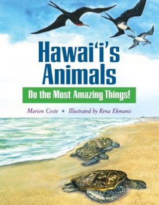 Kniha Hawaii's Animals Do the Most Amazing Things Marion Coste