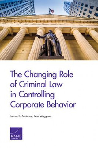 Könyv CHANGING ROLE OF CRIMINAL LAW James M. Anderson