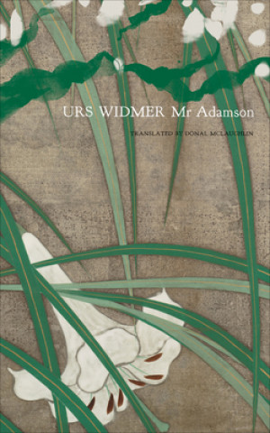 Kniha Mr Adamson Urs Widmer