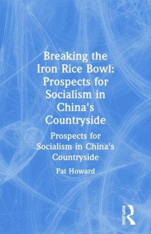 Kniha Breaking the Iron Rice Bowl Patricia M. Howard