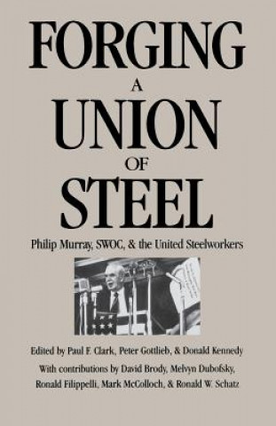 Könyv Forging a Union of Steel Peter Clark