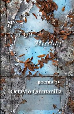Könyv If I Go Missing Octavio Quintanilla