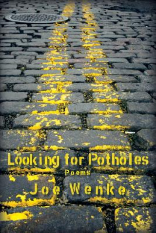 Knjiga Looking for Potholes Dr Joe Wenke