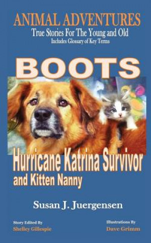 Buch Boots Susan J Juergensen