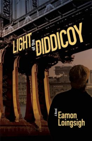 Książka Light of the Diddicoy Eamon Loingsigh