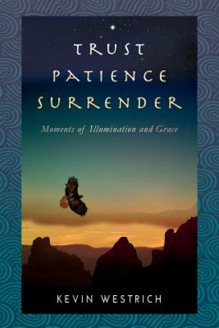 Buch Trust Patience Surrender Kevin Westrich