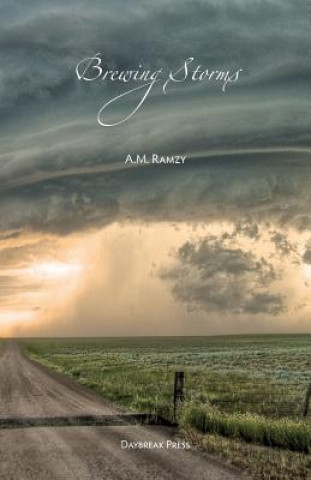 Book Brewing Storms Am Ramzy