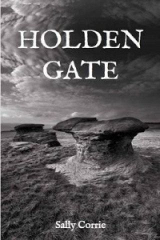 Kniha Holden Gate Sally Corrie