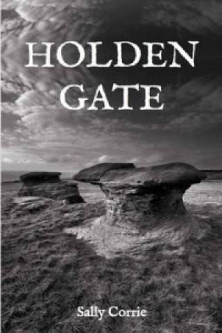 Buch Holden Gate Sally Corrie