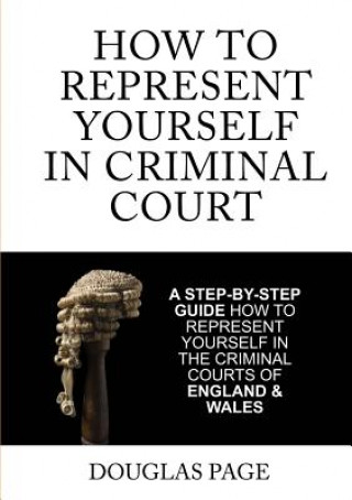 Buch How to Represent Yourself in Criminal Court Douglas P. Page