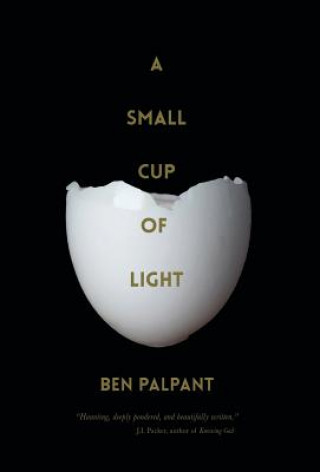 Book Small Cup of Light Ben Palpant