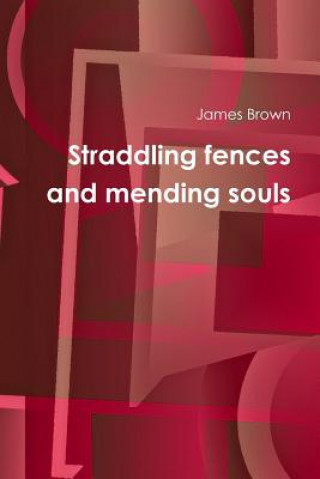 Kniha Straddling Fences and Mending Souls James Brown