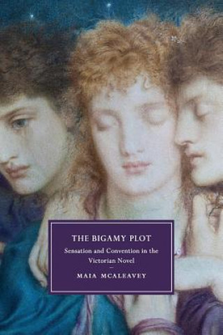 Könyv Bigamy Plot MCALEAVEY  MAIA