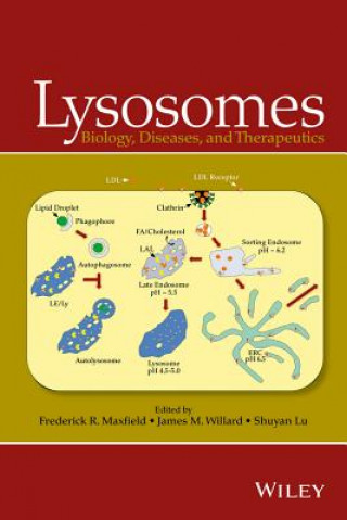 Carte Lysosomes - Biology, Diseases, and Therapeutics Shuyan Lu