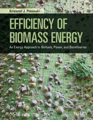 Kniha Efficiency of Biomass Energy Krzysztof J. Ptasinski