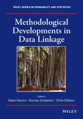 Kniha Methodological Developments in Data Linkage Chris Dibben