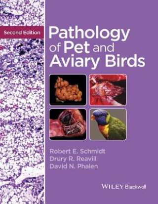 Book Pathology of Pet and Aviary Birds David N. Phalen