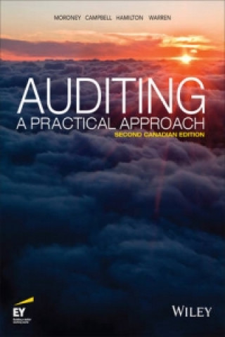 Buch Auditing Valerie Warren