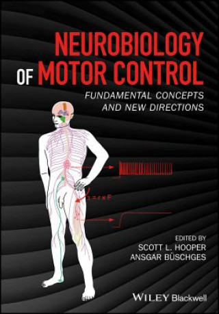 Könyv Neurobiology of Motor Control - Fundamental Concepts and New Directions Ansgar Buschges