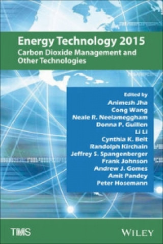 Könyv Energy Technology 2015 Wiley