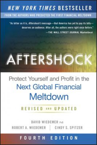 Book Aftershock Cindy S. Spitzer